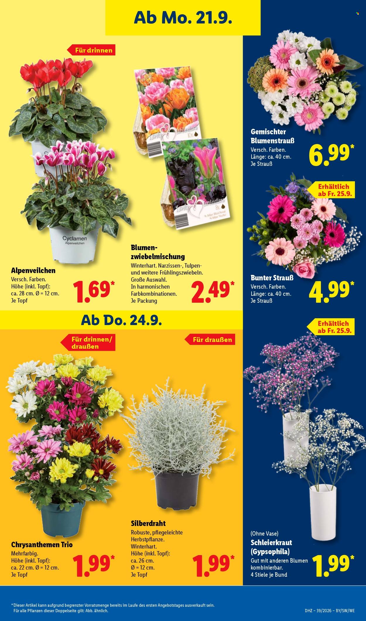 Lidl Prospekte  - 21.09.2026 - 26.09.2026. Seite 21