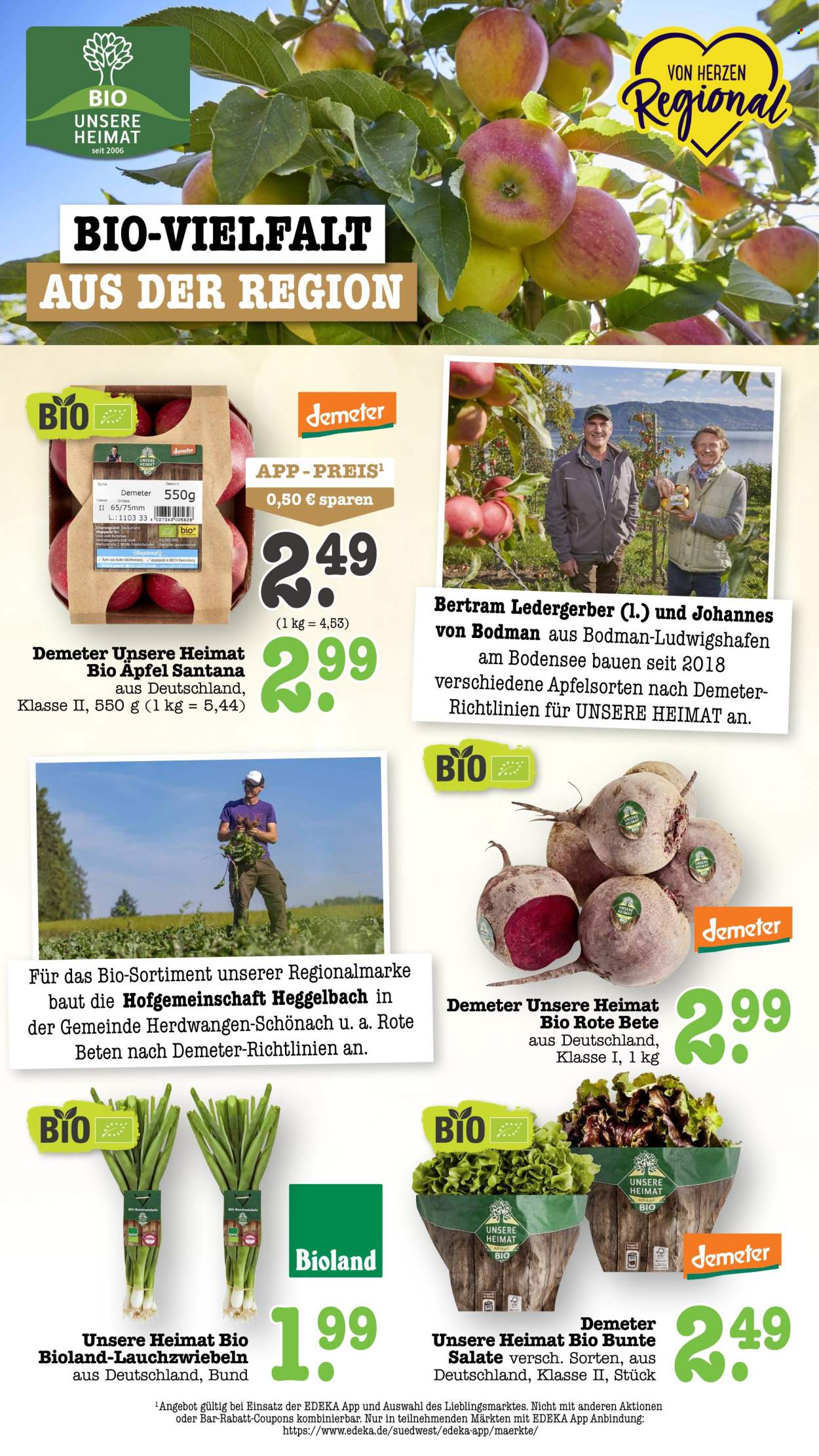Scheck-in Prospekte  - 14.09.2026 - 19.09.2026. Seite 30