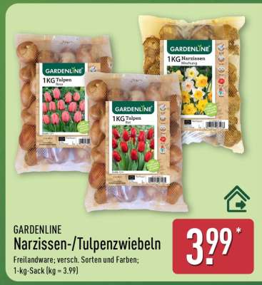GARDENLINE Narzissen-/ Tulpenzwiebeln