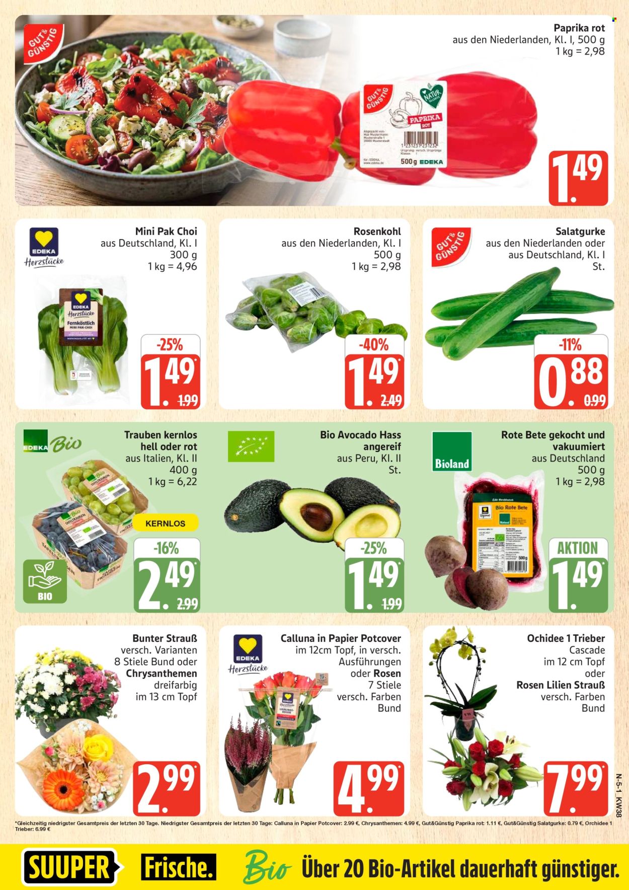 Marktkauf Prospekte  - 14.09.2026 - 19.09.2026. Seite 5