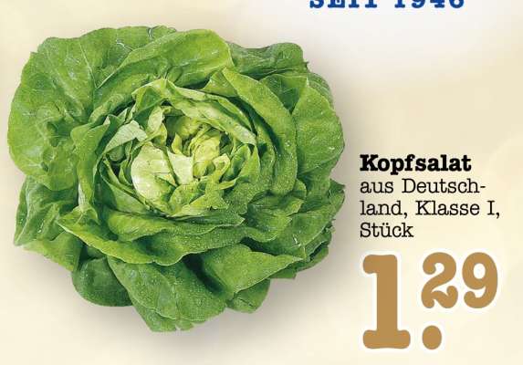 Kopfsalat