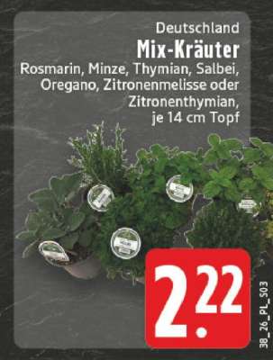 Mix-Kräuter