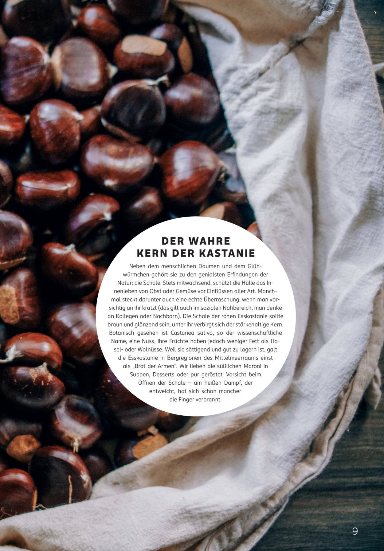 Rossmann Prospekte  - 1.10.2026 - 31.10.2026. Seite 9