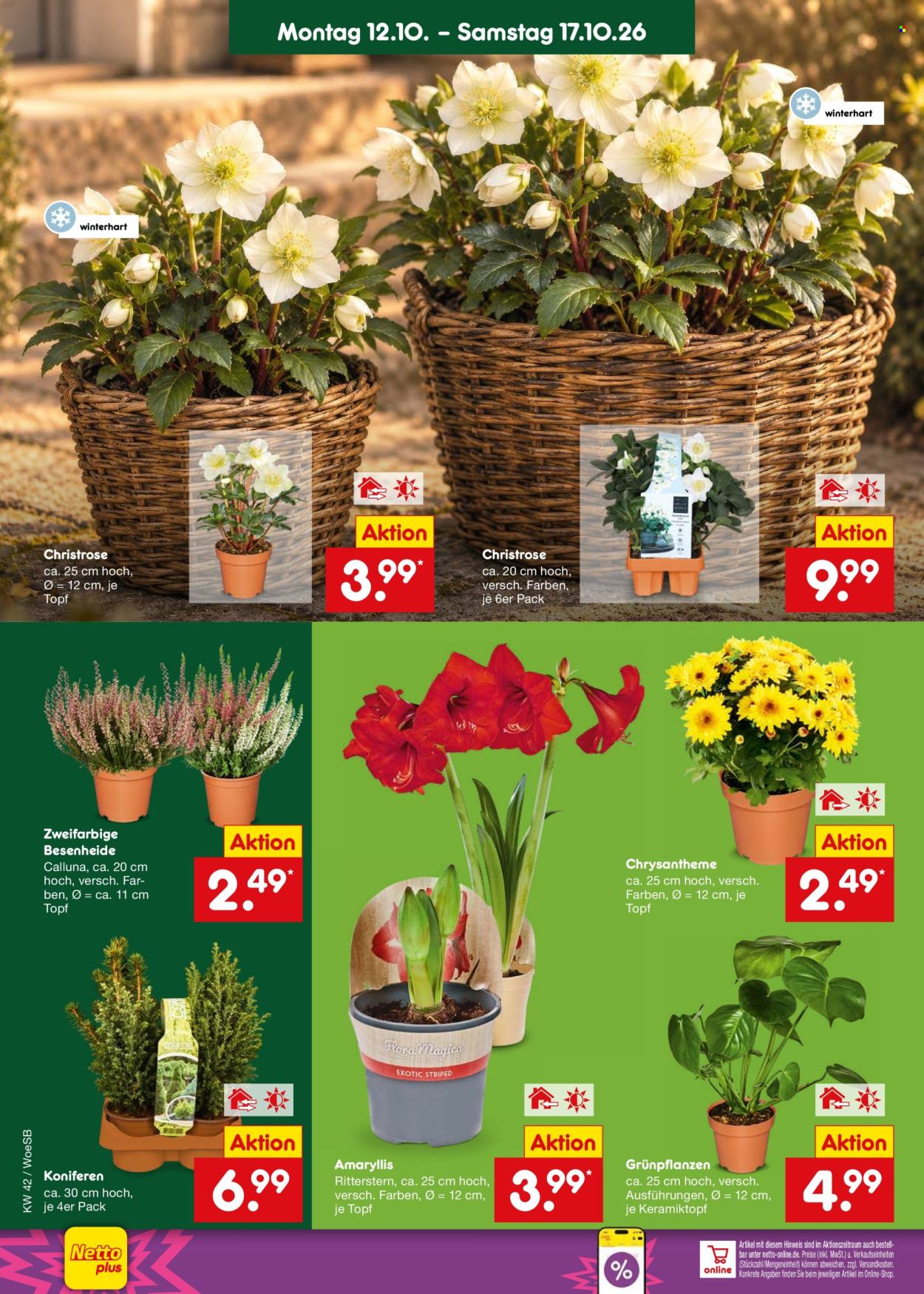 Netto Marken-Discount Prospekte  - 12.10.2026 - 17.10.2026. Seite 10