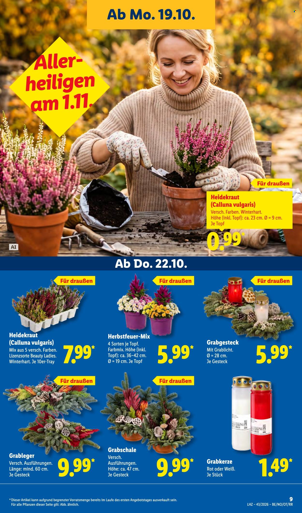 Lidl Prospekte  - 19.10.2026 - 24.10.2026. Seite 17