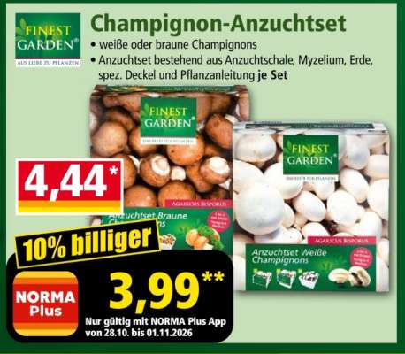 Champignon Anzuchtset