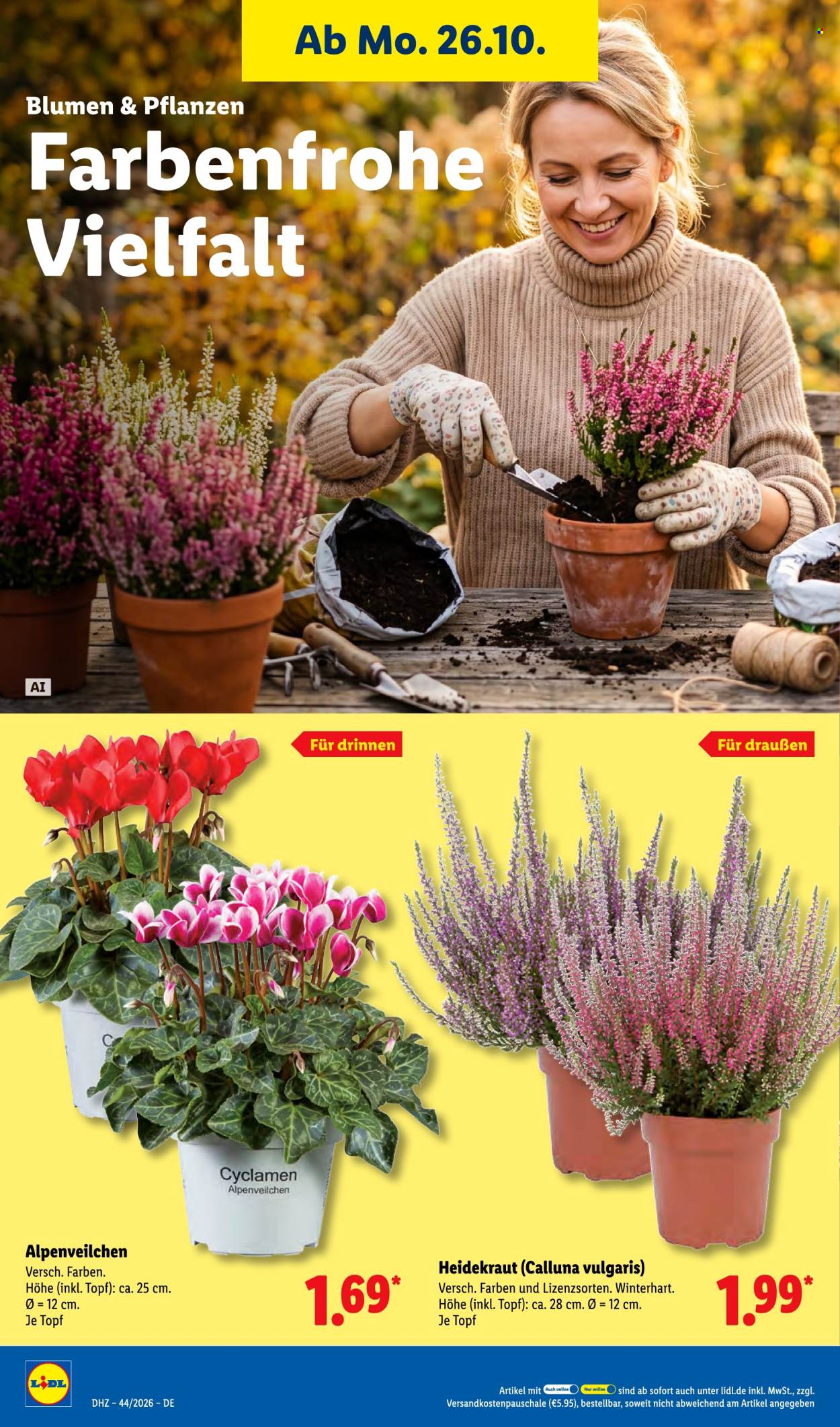 Lidl Prospekte  - 26.10.2026 - 31.10.2026. Seite 36