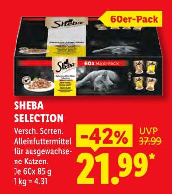SHEBA Selection*