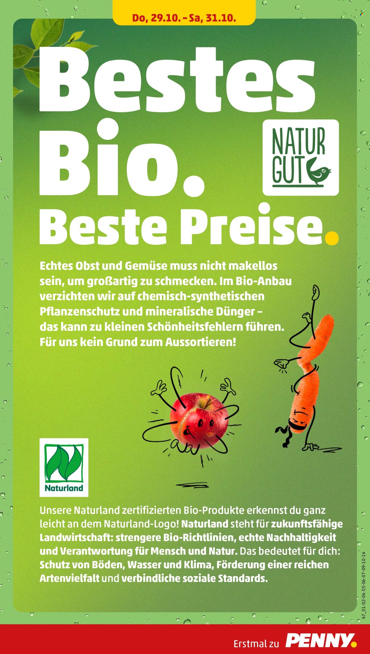Penny Prospekte  - 26.10.2026 - 31.10.2026. Seite 33