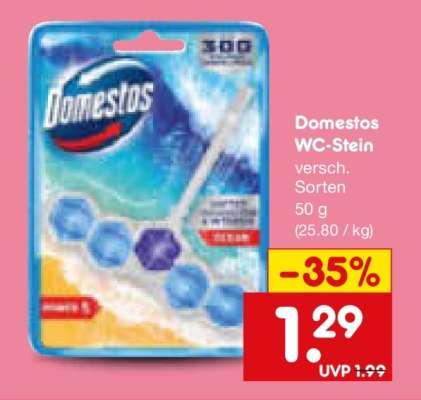Domestos WC Stein