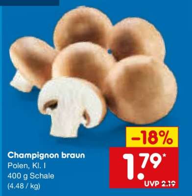 Champignon braun