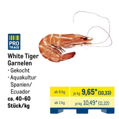 White Tiger Garnelen