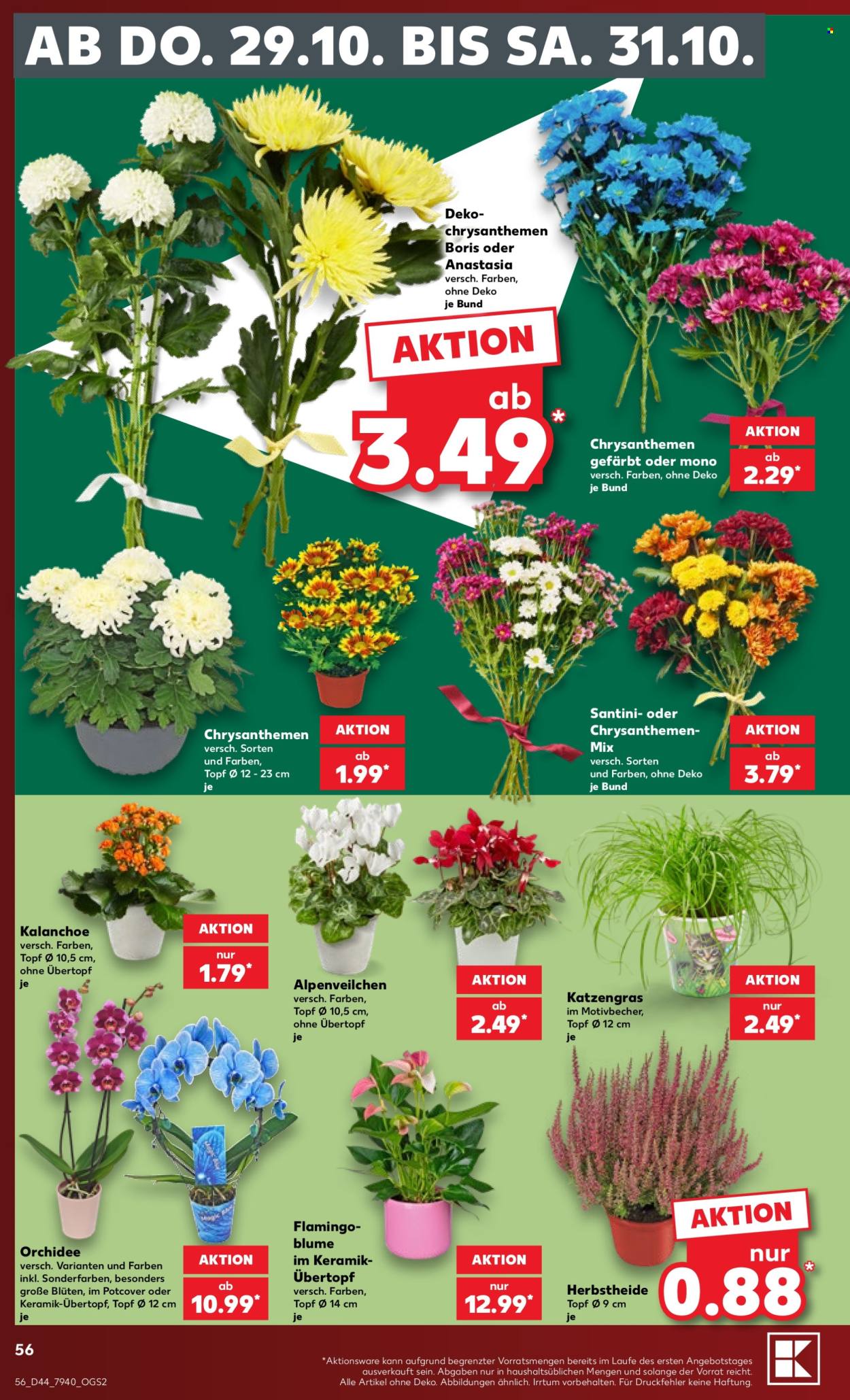 Kaufland Prospekte  - 26.10.2026 - 31.10.2026. Seite 56