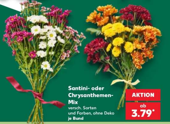 Santini- oder Chrysanthemen-Mix