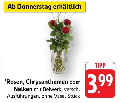 Rosen, Chrysanthemen oder Nelken