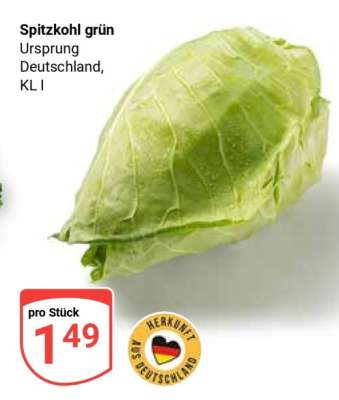 Spitzkohl grün